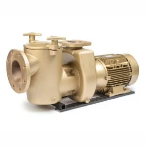 Jacuzzi Series VM Filter Pumps 1