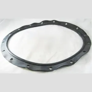 Astral Filter Lid Gasket 723R4140120