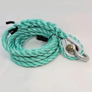 Tarzan Rope Picture
